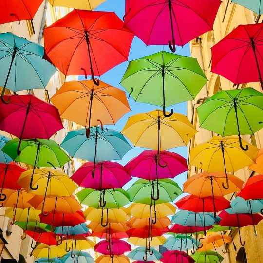 https://accentuagroup.nl/wp-content/uploads/2020/07/umbrellas-540x540.jpg