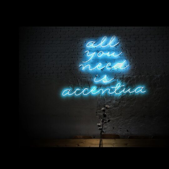 https://accentuagroup.nl/wp-content/uploads/2020/08/all-you-need-1600c-540x540.jpg